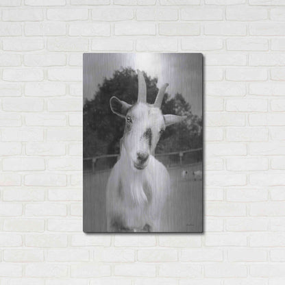 Luxe Metal Art 'Lake Tobias Goat II' by Lori Deiter, Metal Wall Art,24x36