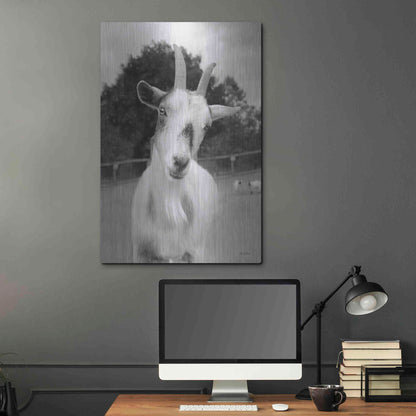 Luxe Metal Art 'Lake Tobias Goat II' by Lori Deiter, Metal Wall Art,24x36
