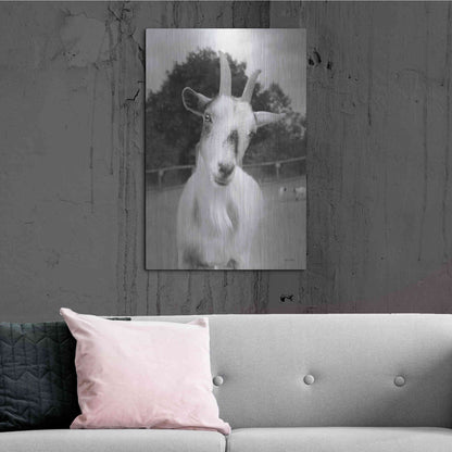 Luxe Metal Art 'Lake Tobias Goat II' by Lori Deiter, Metal Wall Art,24x36