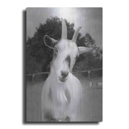 Luxe Metal Art 'Lake Tobias Goat II' by Lori Deiter, Metal Wall Art