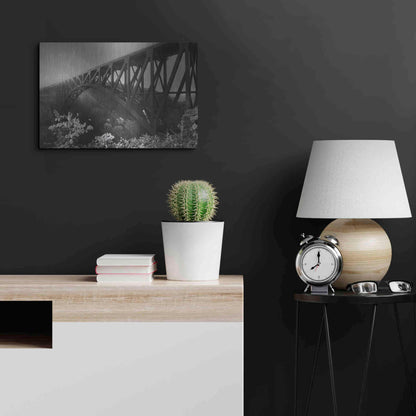 Luxe Metal Art 'Sunrise at Letchworth Black & White' by Lori Deiter, Metal Wall Art,24x16