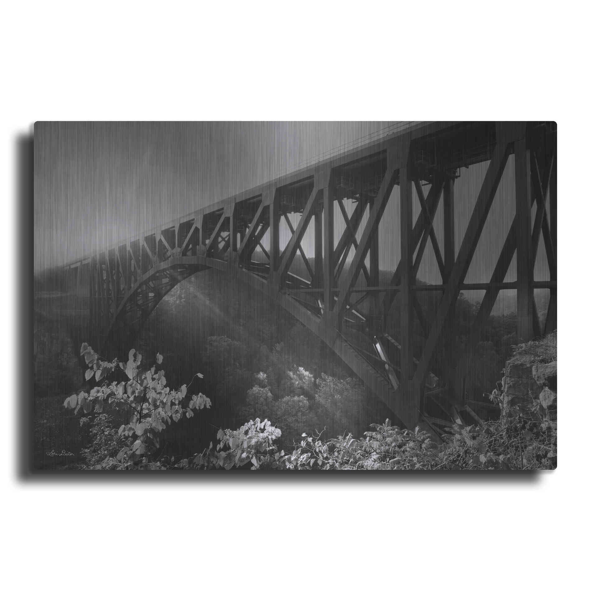 Luxe Metal Art 'Sunrise at Letchworth Black & White' by Lori Deiter, Metal Wall Art