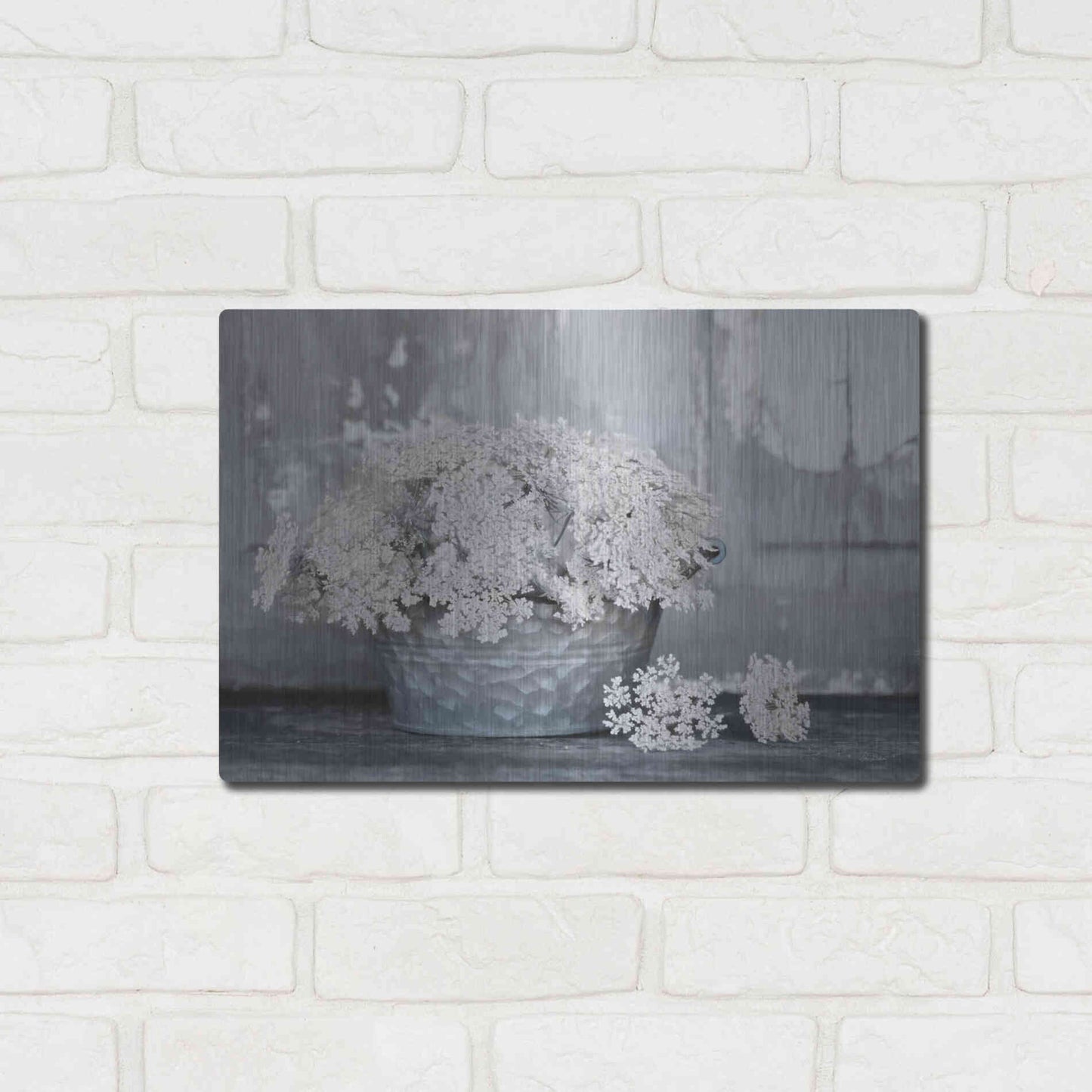 Luxe Metal Art 'Queen Anne's Lace I' by Lori Deiter, Metal Wall Art,16x12