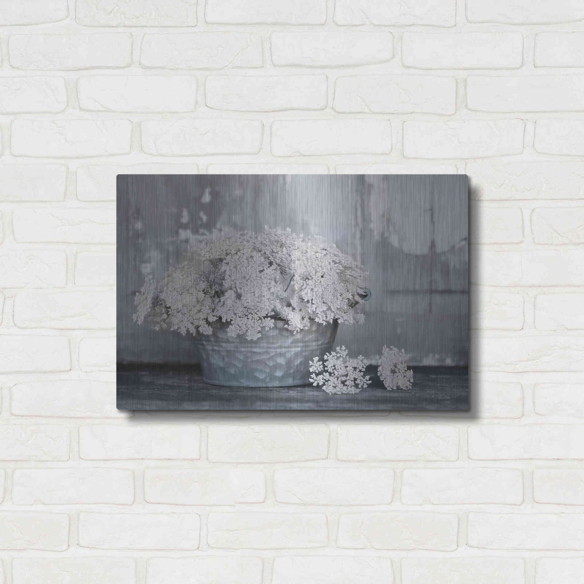 Luxe Metal Art 'Queen Anne's Lace I' by Lori Deiter, Metal Wall Art,24x16