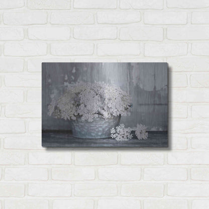 Luxe Metal Art 'Queen Anne's Lace I' by Lori Deiter, Metal Wall Art,24x16