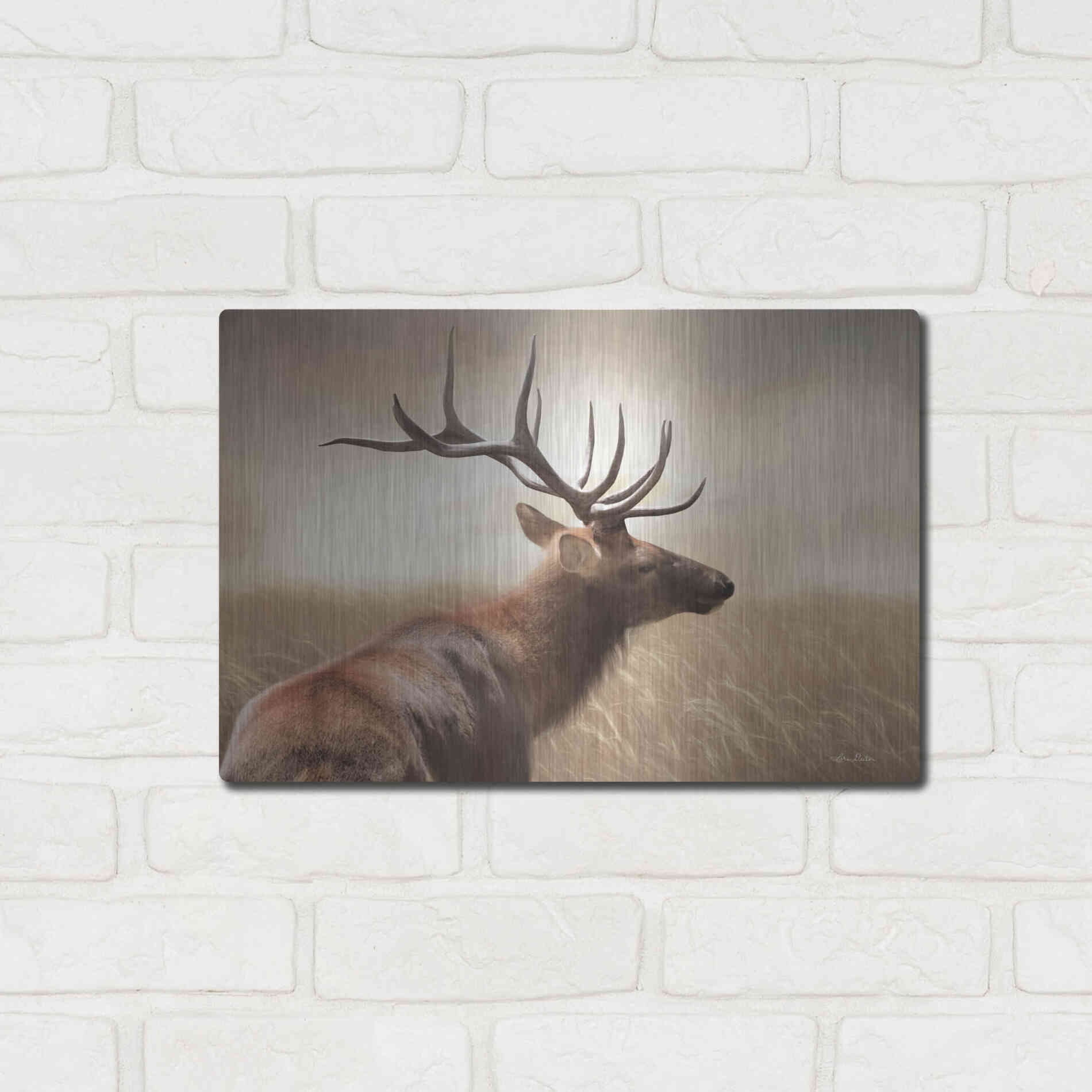 Luxe Metal Art 'Elk in the Grass' by Lori Deiter, Metal Wall Art,16x12