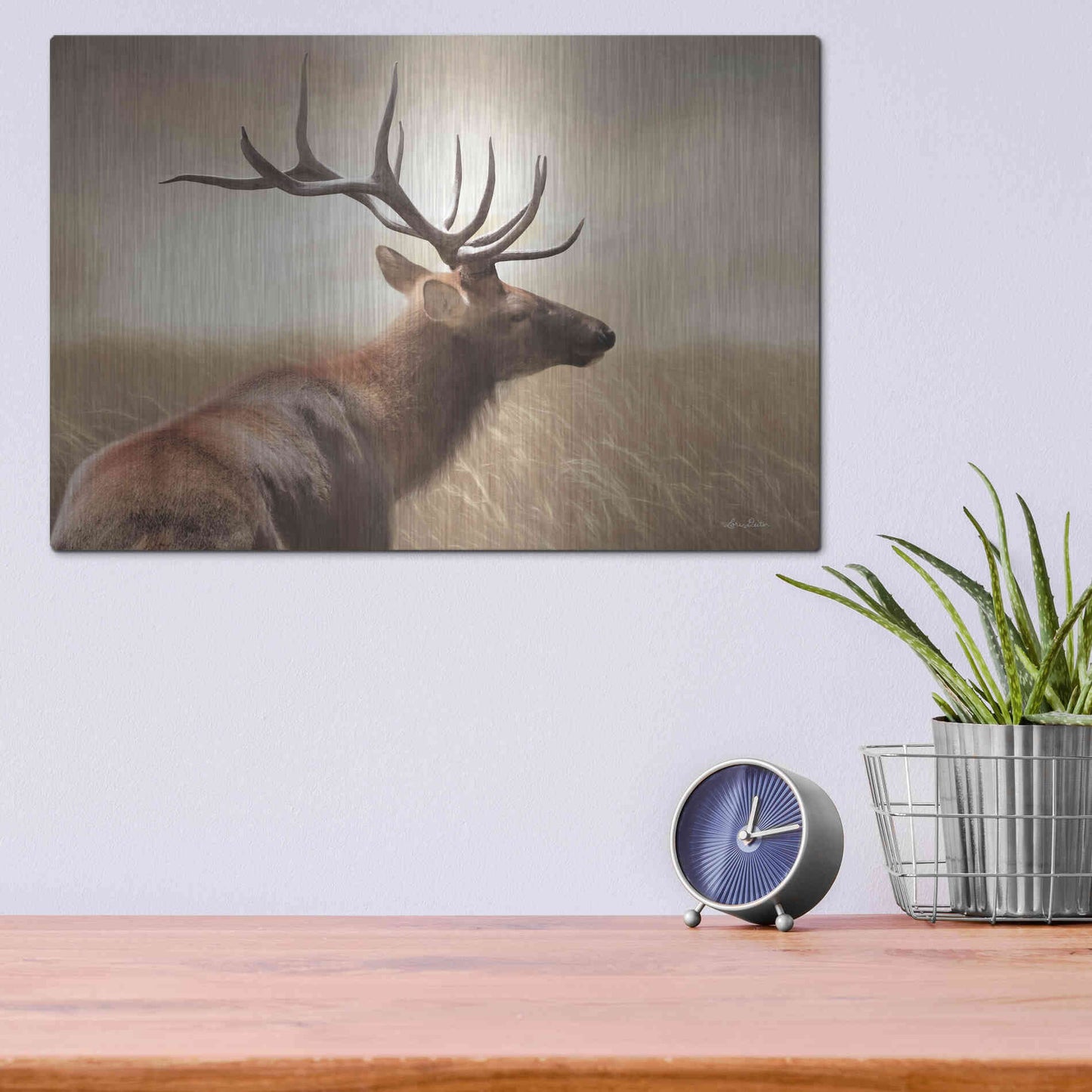 Luxe Metal Art 'Elk in the Grass' by Lori Deiter, Metal Wall Art,16x12