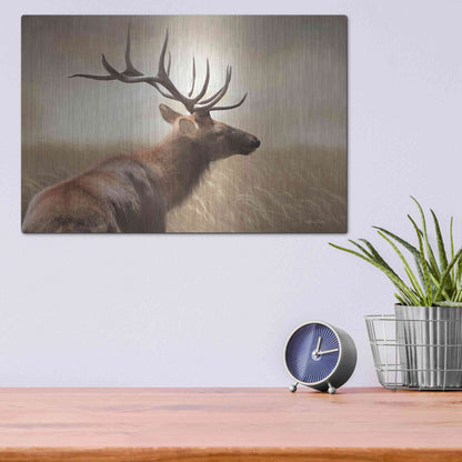 Luxe Metal Art 'Elk in the Grass' by Lori Deiter, Metal Wall Art,16x12