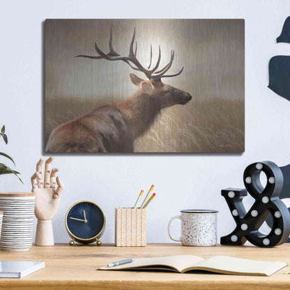 Luxe Metal Art 'Elk in the Grass' by Lori Deiter, Metal Wall Art,16x12