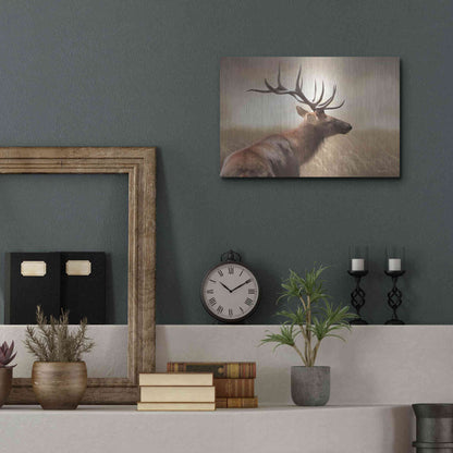 Luxe Metal Art 'Elk in the Grass' by Lori Deiter, Metal Wall Art,16x12