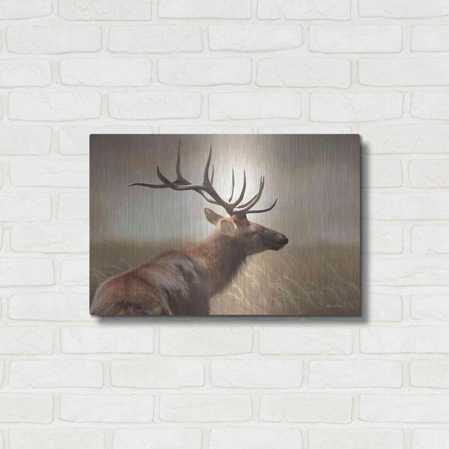 Luxe Metal Art 'Elk in the Grass' by Lori Deiter, Metal Wall Art,24x16