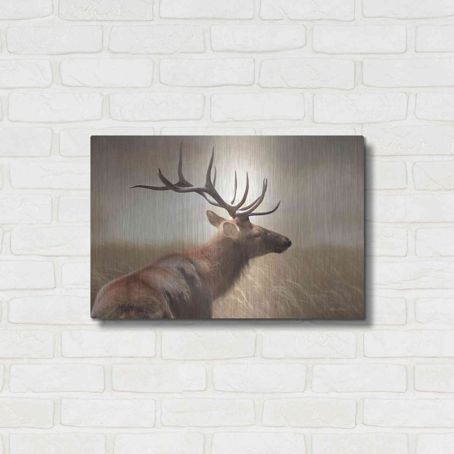 Luxe Metal Art 'Elk in the Grass' by Lori Deiter, Metal Wall Art,24x16