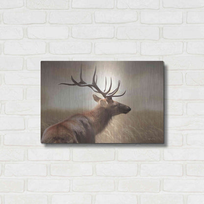 Luxe Metal Art 'Elk in the Grass' by Lori Deiter, Metal Wall Art,24x16