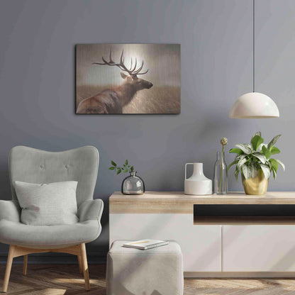 Luxe Metal Art 'Elk in the Grass' by Lori Deiter, Metal Wall Art,24x16