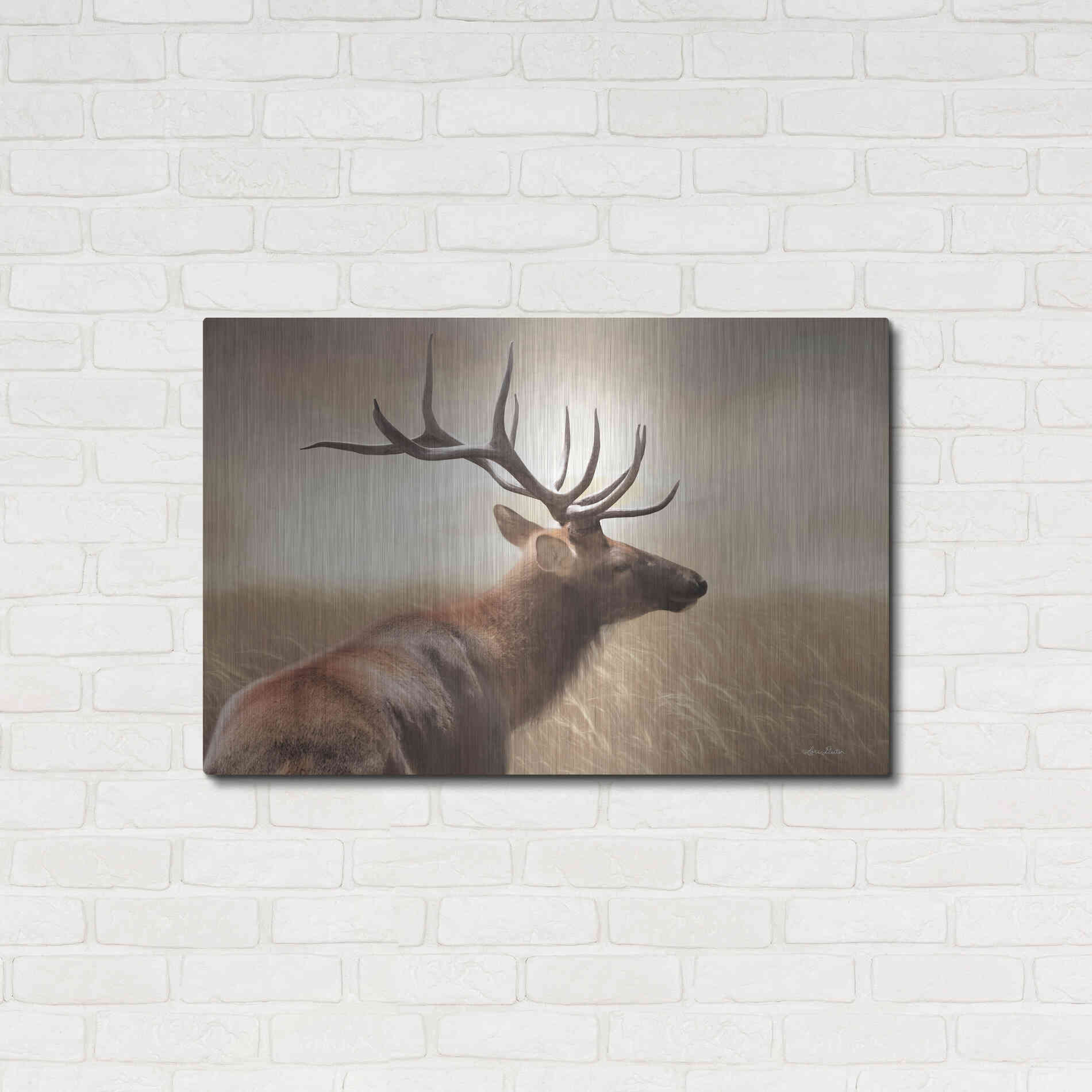 Luxe Metal Art 'Elk in the Grass' by Lori Deiter, Metal Wall Art,36x24