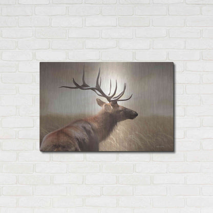 Luxe Metal Art 'Elk in the Grass' by Lori Deiter, Metal Wall Art,36x24