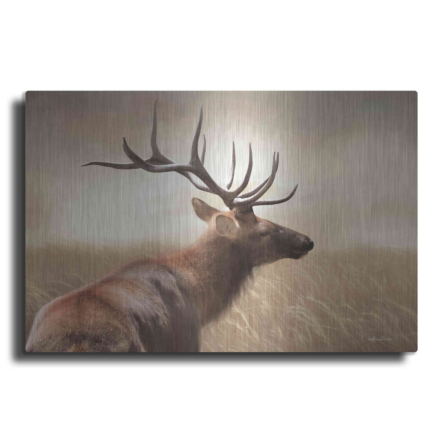 Luxe Metal Art 'Elk in the Grass' by Lori Deiter, Metal Wall Art