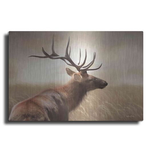 Luxe Metal Art 'Elk in the Grass' by Lori Deiter, Metal Wall Art