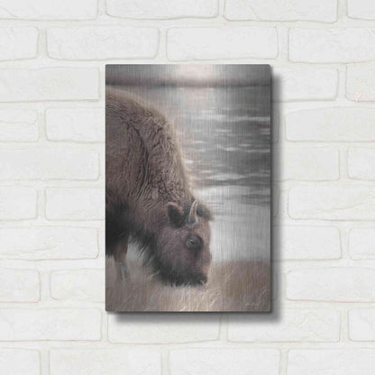 Luxe Metal Art 'Yellowstone Buffalo' by Lori Deiter, Metal Wall Art,12x16