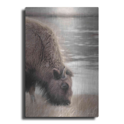 Luxe Metal Art 'Yellowstone Buffalo' by Lori Deiter, Metal Wall Art