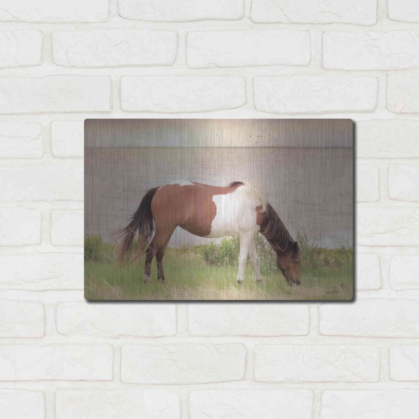 Luxe Metal Art 'Grazing on Assateague Island' by Lori Deiter, Metal Wall Art,16x12