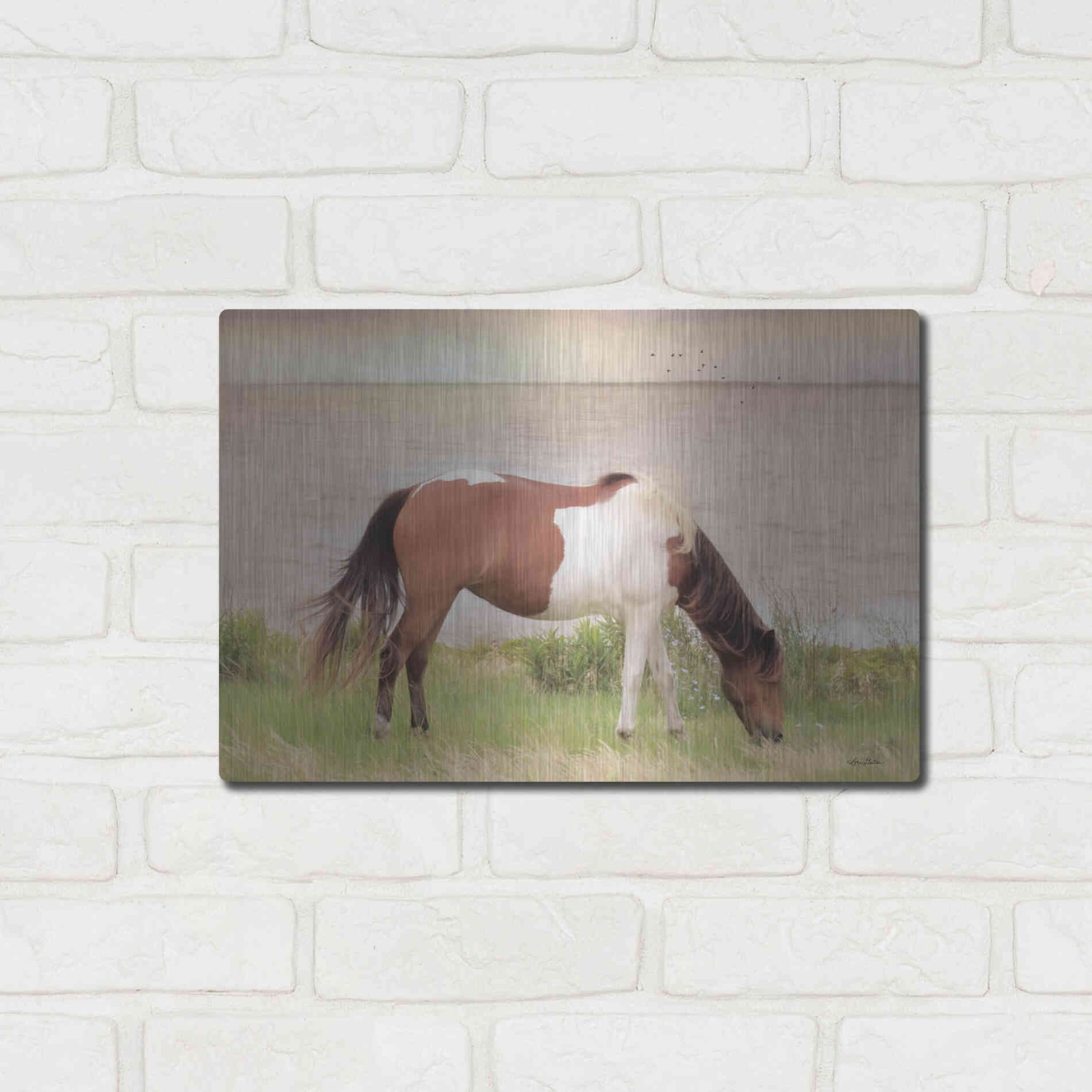 Luxe Metal Art 'Grazing on Assateague Island' by Lori Deiter, Metal Wall Art,16x12