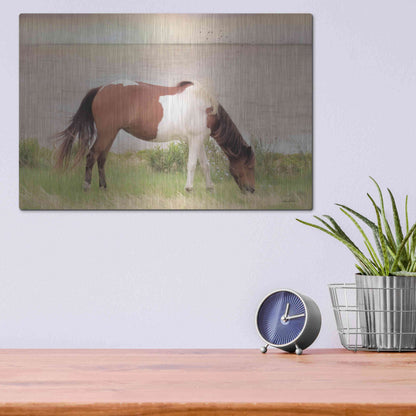Luxe Metal Art 'Grazing on Assateague Island' by Lori Deiter, Metal Wall Art,16x12