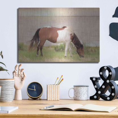 Luxe Metal Art 'Grazing on Assateague Island' by Lori Deiter, Metal Wall Art,16x12