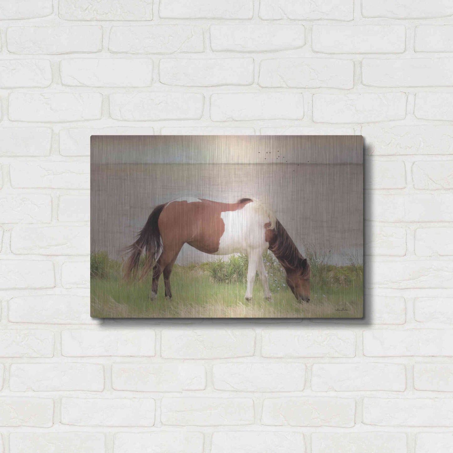 Luxe Metal Art 'Grazing on Assateague Island' by Lori Deiter, Metal Wall Art,24x16