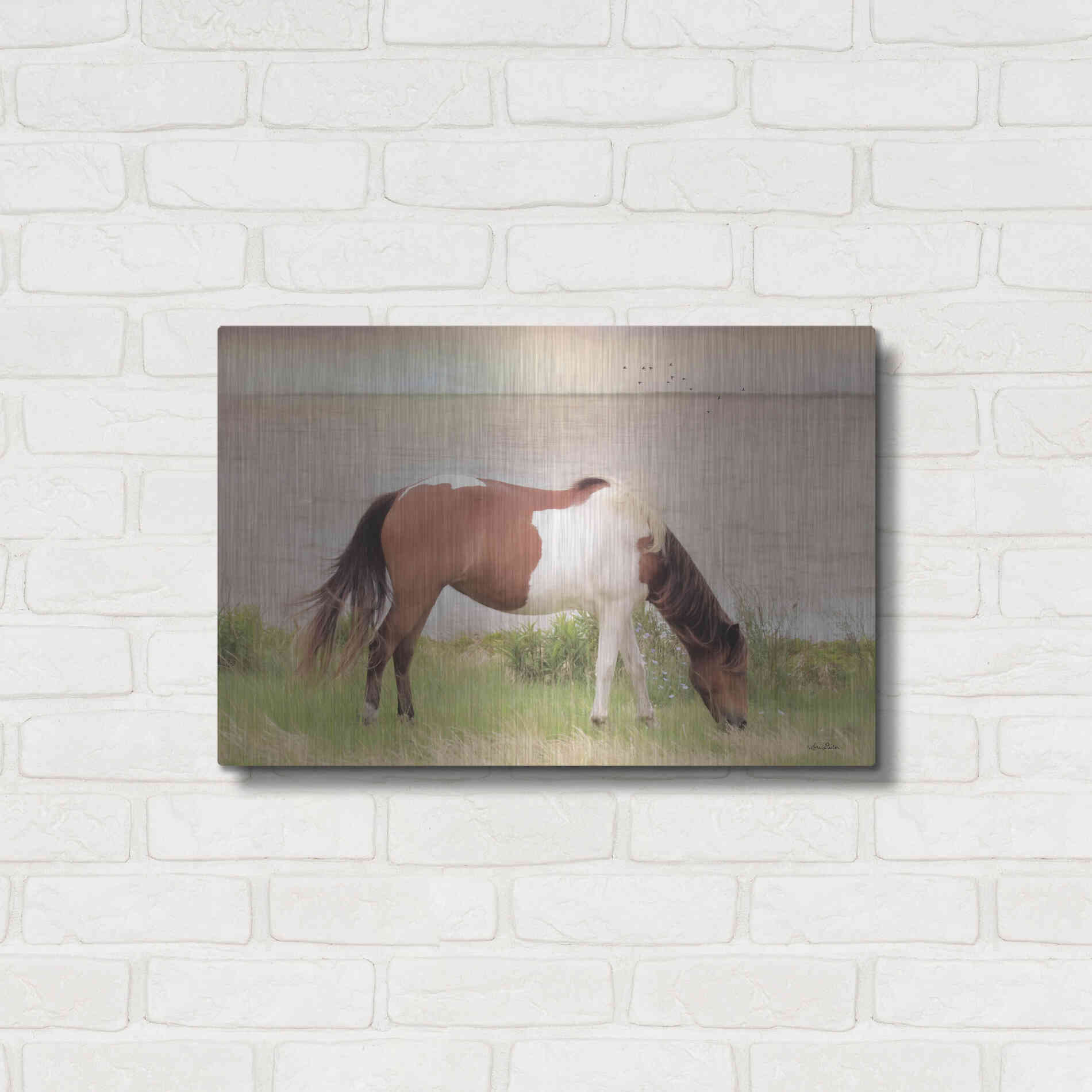 Luxe Metal Art 'Grazing on Assateague Island' by Lori Deiter, Metal Wall Art,24x16
