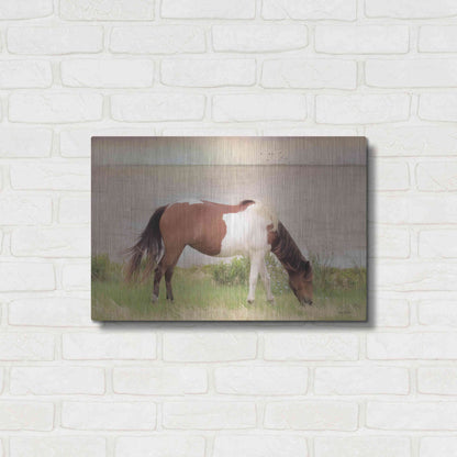 Luxe Metal Art 'Grazing on Assateague Island' by Lori Deiter, Metal Wall Art,24x16