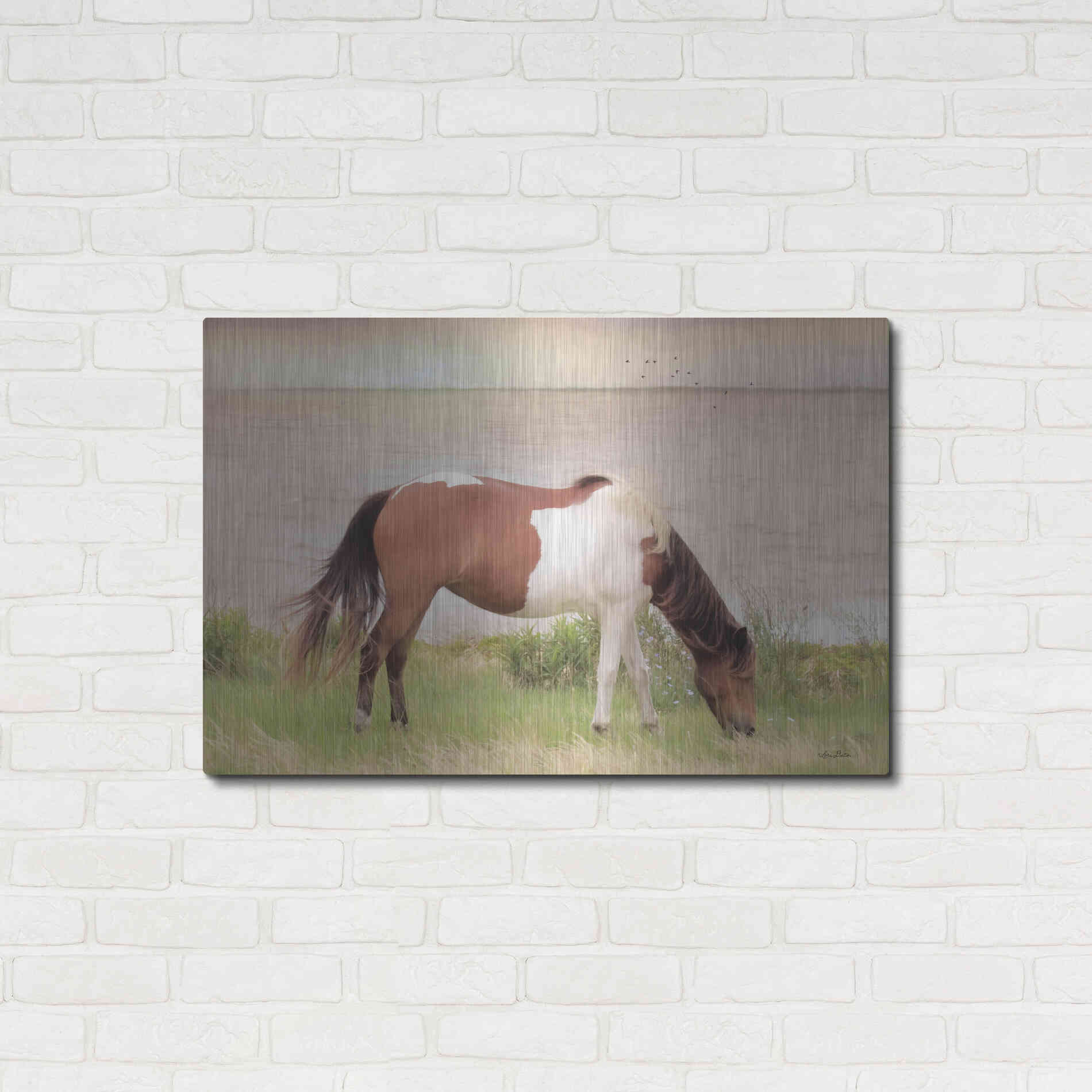 Luxe Metal Art 'Grazing on Assateague Island' by Lori Deiter, Metal Wall Art,36x24