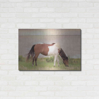 Luxe Metal Art 'Grazing on Assateague Island' by Lori Deiter, Metal Wall Art,36x24