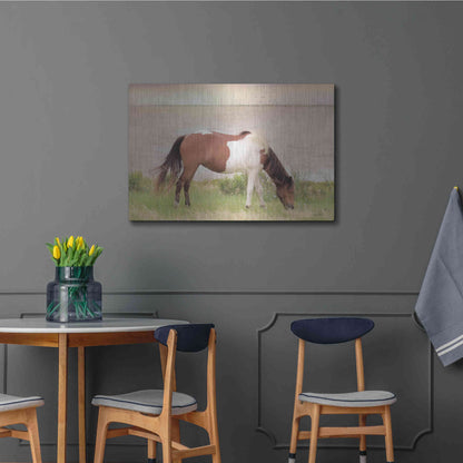 Luxe Metal Art 'Grazing on Assateague Island' by Lori Deiter, Metal Wall Art,36x24