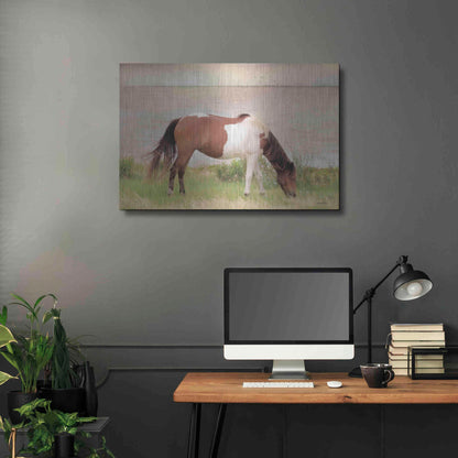 Luxe Metal Art 'Grazing on Assateague Island' by Lori Deiter, Metal Wall Art,36x24