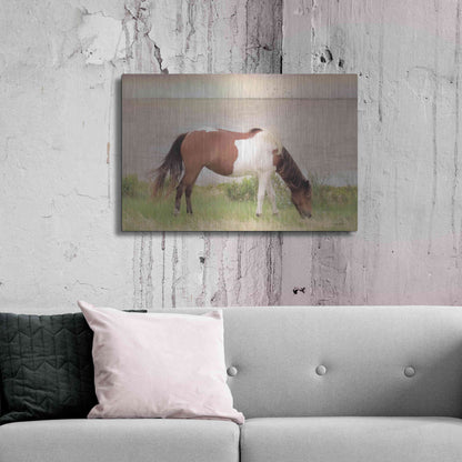 Luxe Metal Art 'Grazing on Assateague Island' by Lori Deiter, Metal Wall Art,36x24