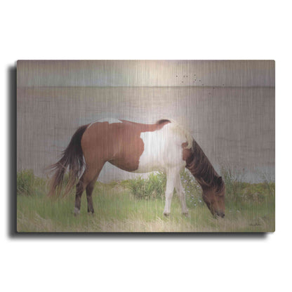 Luxe Metal Art 'Grazing on Assateague Island' by Lori Deiter, Metal Wall Art