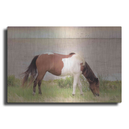 Luxe Metal Art 'Grazing on Assateague Island' by Lori Deiter, Metal Wall Art