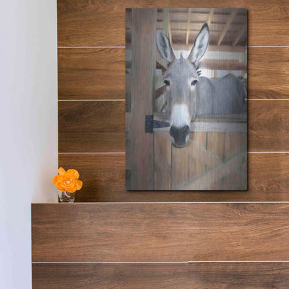 Luxe Metal Art 'Curious Donkey' by Lori Deiter, Metal Wall Art,12x16
