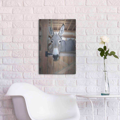 Luxe Metal Art 'Curious Donkey' by Lori Deiter, Metal Wall Art,16x24