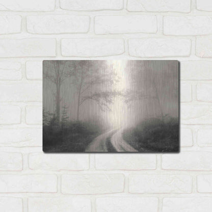 Luxe Metal Art 'Bleached Wood Lands' by Lori Deiter, Metal Wall Art,16x12