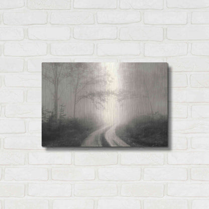 Luxe Metal Art 'Bleached Wood Lands' by Lori Deiter, Metal Wall Art,24x16