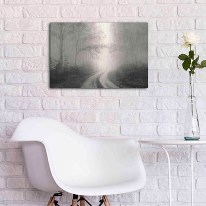 Luxe Metal Art 'Bleached Wood Lands' by Lori Deiter, Metal Wall Art,24x16