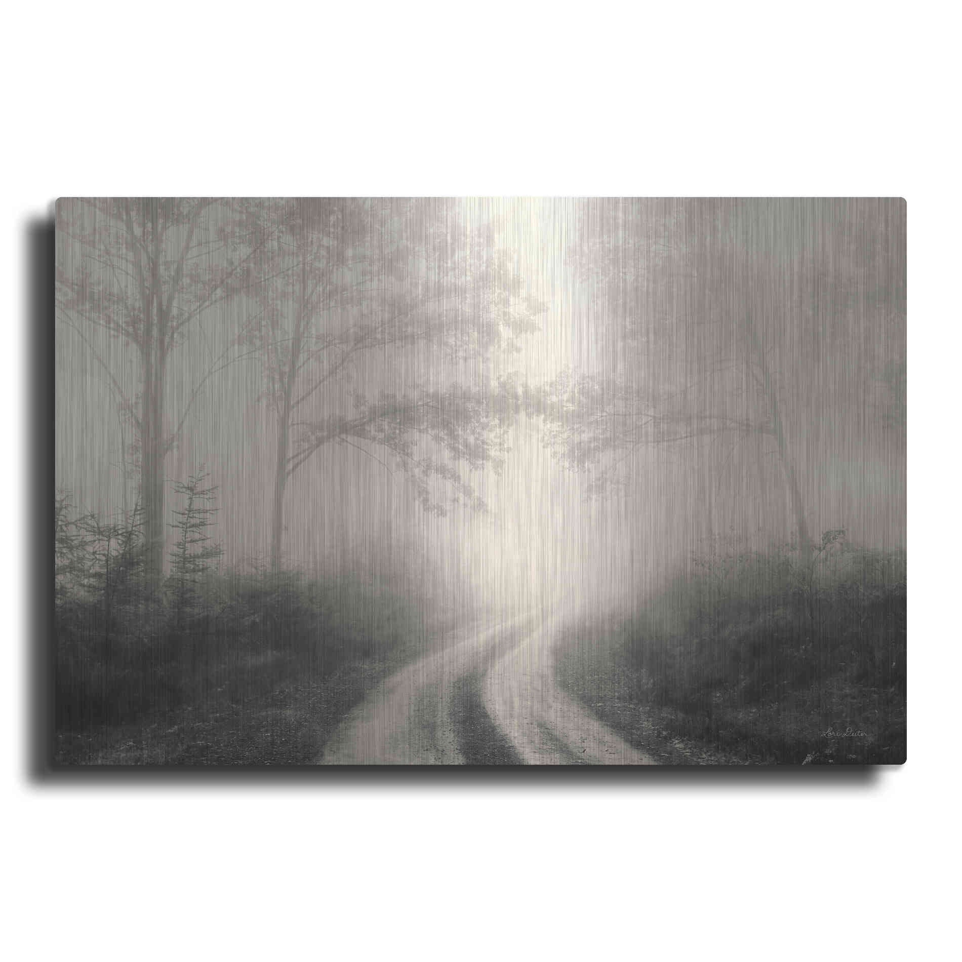 Luxe Metal Art 'Bleached Wood Lands' by Lori Deiter, Metal Wall Art