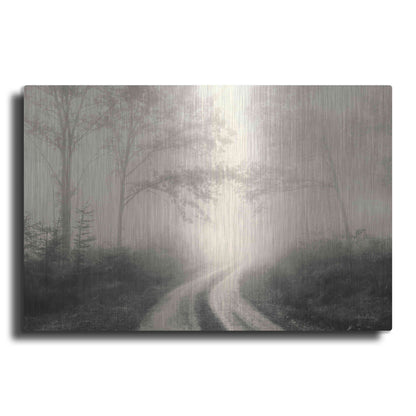 Luxe Metal Art 'Bleached Wood Lands' by Lori Deiter, Metal Wall Art