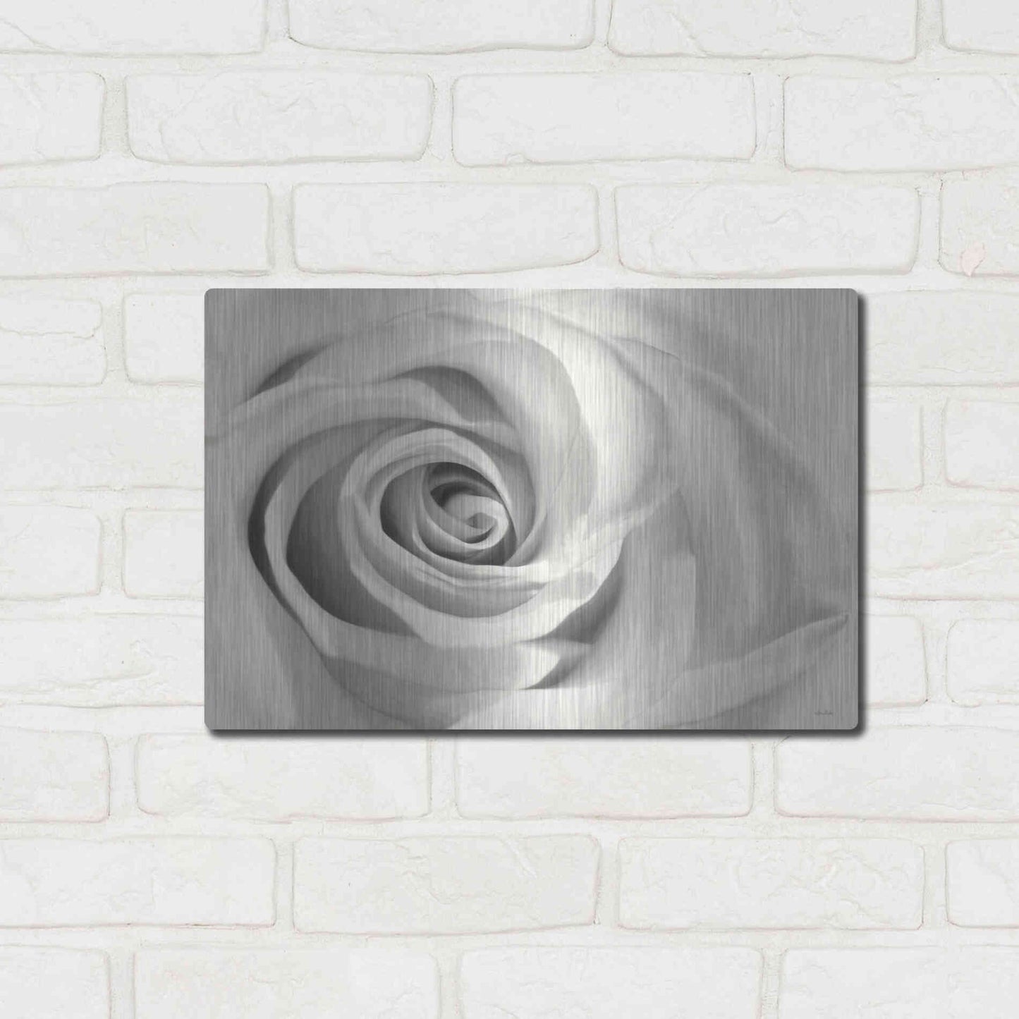 Luxe Metal Art 'Rose II' by Lori Deiter, Metal Wall Art,16x12