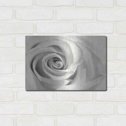 Luxe Metal Art 'Rose II' by Lori Deiter, Metal Wall Art,16x12