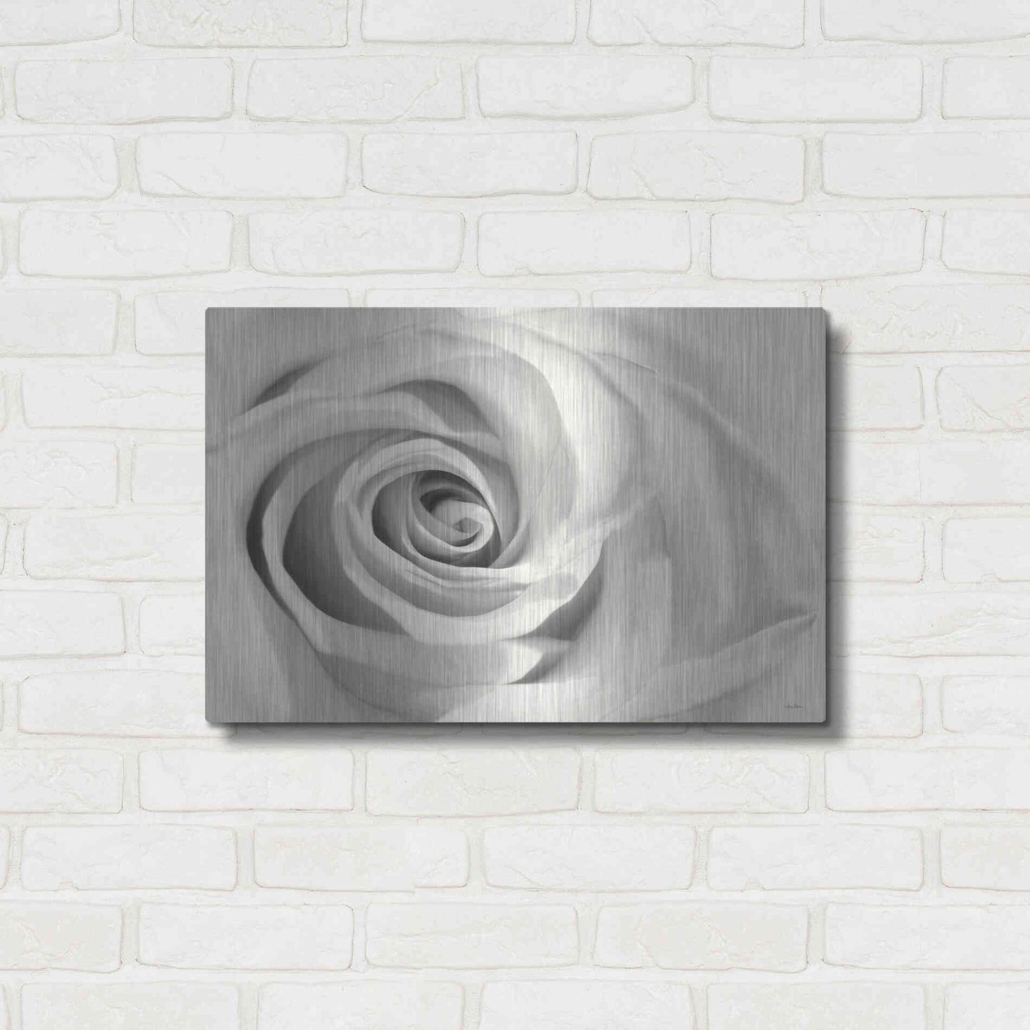 Luxe Metal Art 'Rose II' by Lori Deiter, Metal Wall Art,24x16