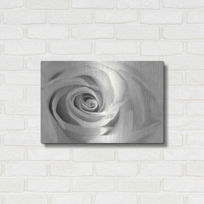Luxe Metal Art 'Rose II' by Lori Deiter, Metal Wall Art,24x16