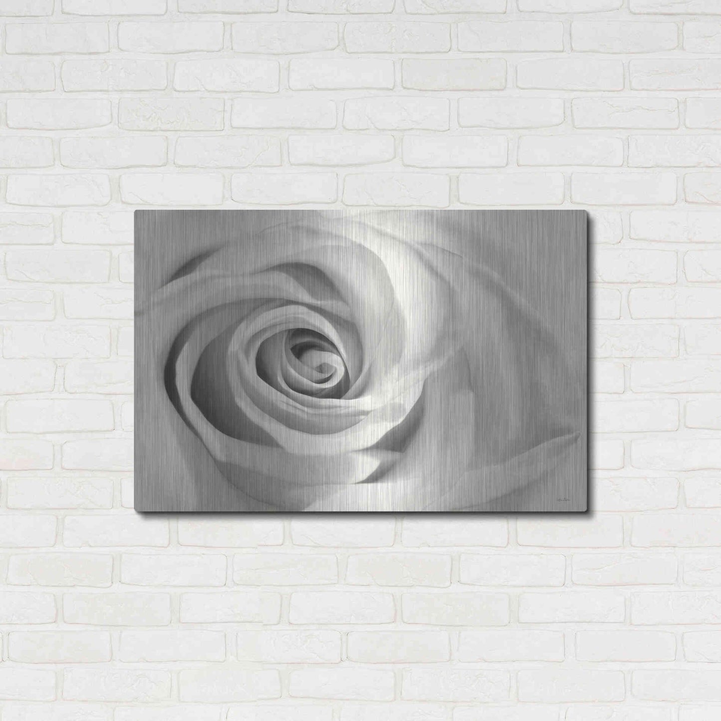Luxe Metal Art 'Rose II' by Lori Deiter, Metal Wall Art,36x24